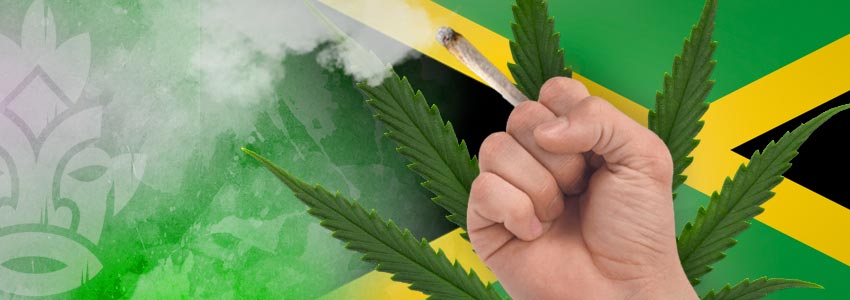 Des Pays Ouverts Au Cannabis : Jamaïque